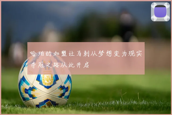 哈珀的加盟让马刺从梦想变为现实夺冠之路从此开启